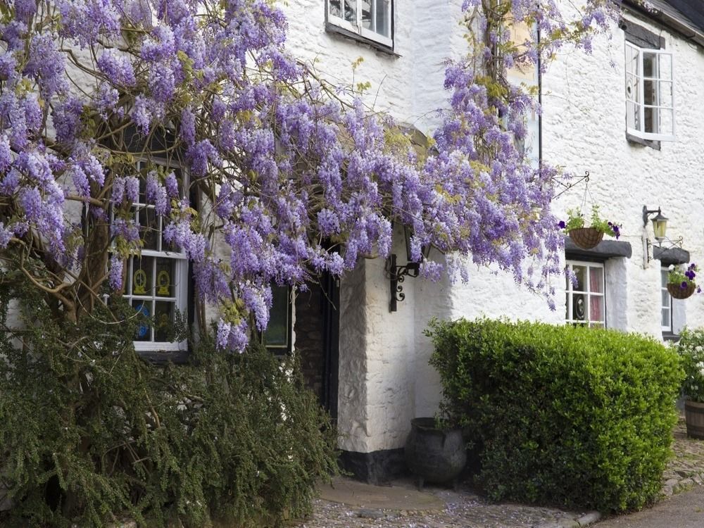 Old Church House Inn Newton Abbot Exteriér fotografie